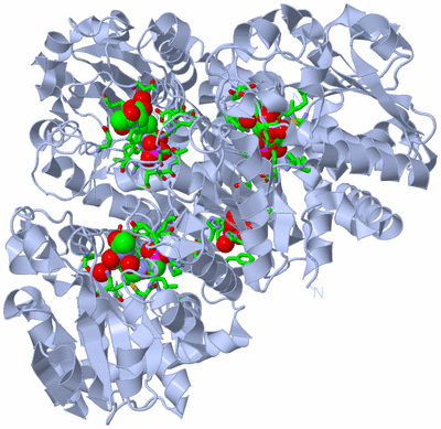 Image Biol. Unit 1 - sites