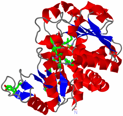 Image Asym. Unit - sites