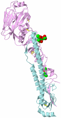 Image Biological Unit 3