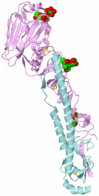 Image Biological Unit 3