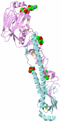 Image Biological Unit 3