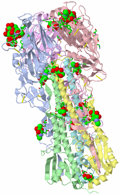 Image Asym. Unit - sites