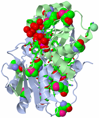 Image Asym./Biol. Unit - sites