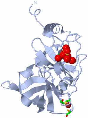 Image Biol. Unit 1 - sites