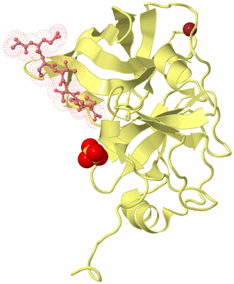 Image Biological Unit 4