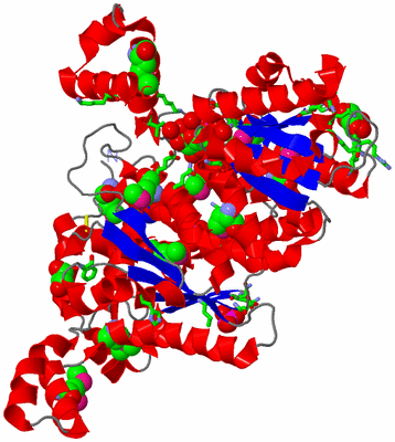 Image Asym. Unit - sites