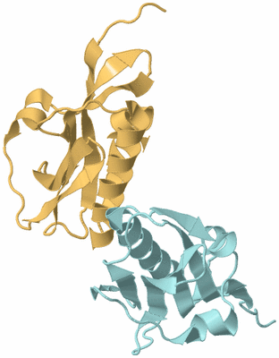 Image Biological Unit 3