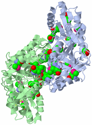 Image Asym./Biol. Unit