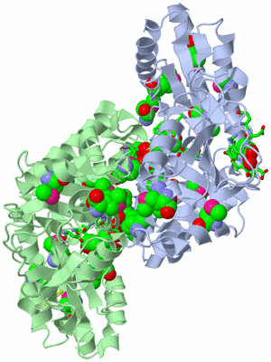 Image Asym./Biol. Unit - sites