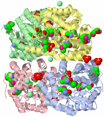 Image Asym./Biol. Unit