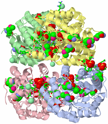 Image Asym./Biol. Unit - sites