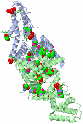 Image Asym./Biol. Unit - sites