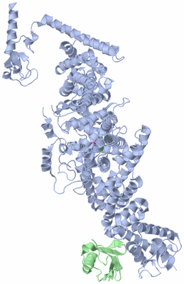 Image Asym./Biol. Unit