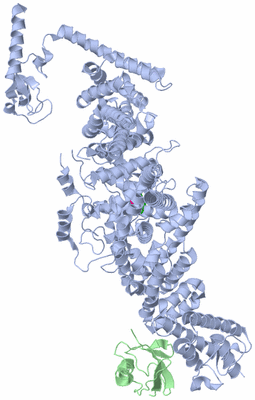 Image Asym./Biol. Unit