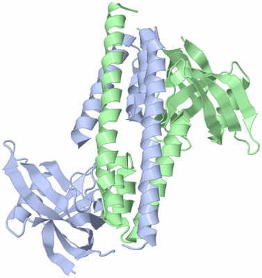 Image Biological Unit 3