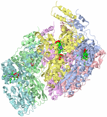 Image Biol. Unit 1 - sites