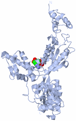 Image Biological Unit 2