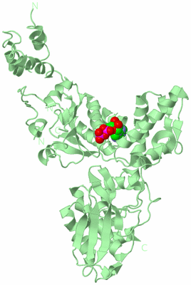 Image Biological Unit 3