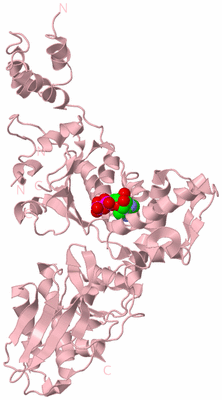 Image Biological Unit 4