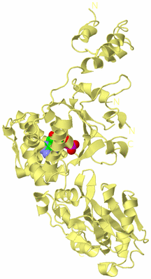 Image Biological Unit 5