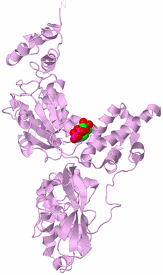 Image Biological Unit 6