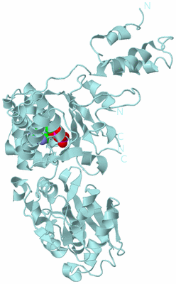 Image Biological Unit 7