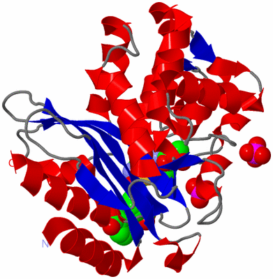 Image Asym./Biol. Unit