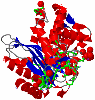 Image Asym./Biol. Unit - sites