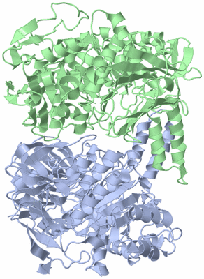 Image Asym./Biol. Unit