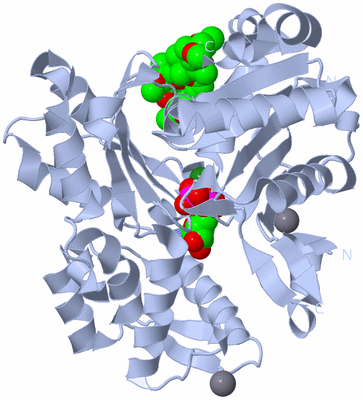 Image Biological Unit 2