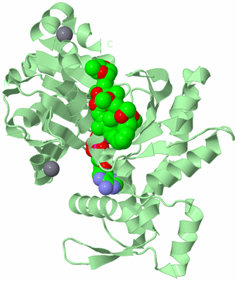 Image Biological Unit 3