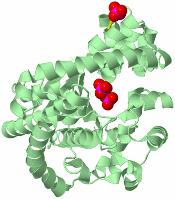 Image Biological Unit 2