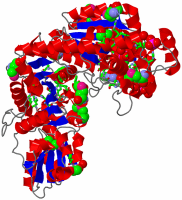 Image Asym. Unit - sites