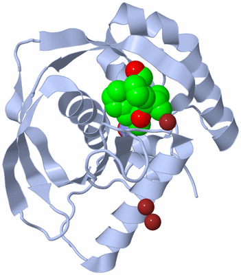 Image Biological Unit 1