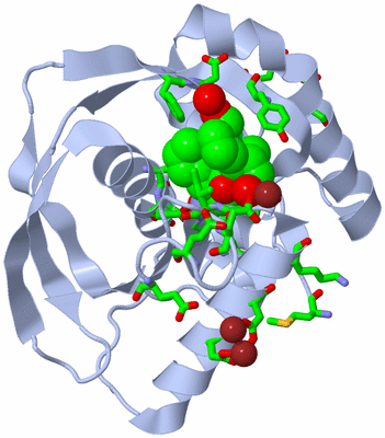 Image Biol. Unit 1 - sites