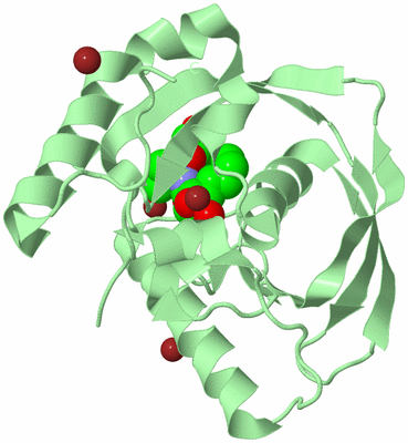 Image Biological Unit 2