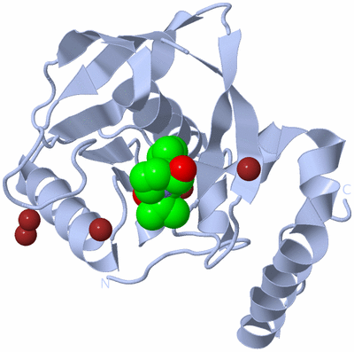 Image Biological Unit 1