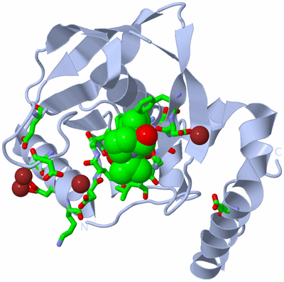 Image Biol. Unit 1 - sites