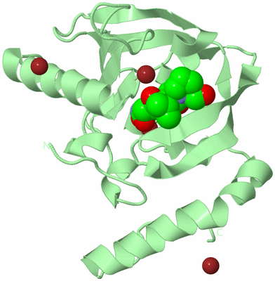 Image Biological Unit 2