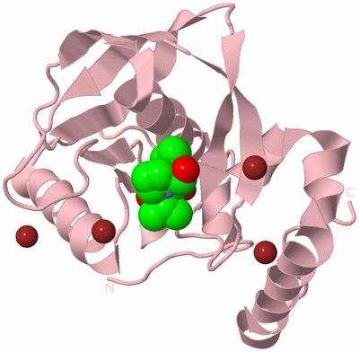 Image Biological Unit 3