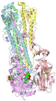 Image Biol. Unit 1 - sites