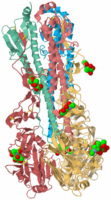 Image Biological Unit 2