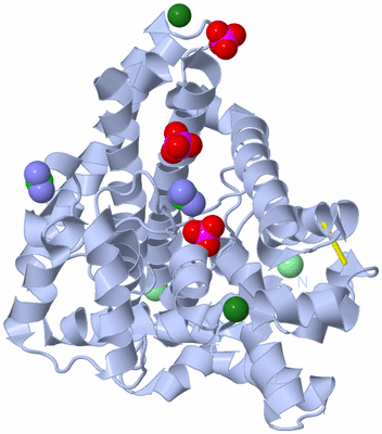 Image Biological Unit 1