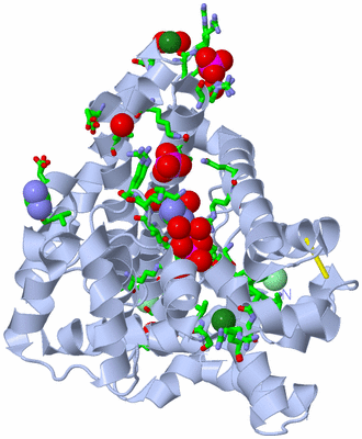 Image Biol. Unit 1 - sites