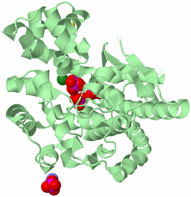 Image Biological Unit 2