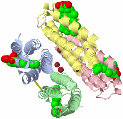 Image Biological Unit 1