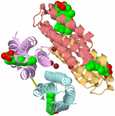 Image Biological Unit 2