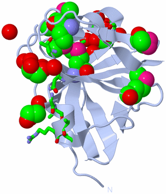 Image Biol. Unit 1 - sites