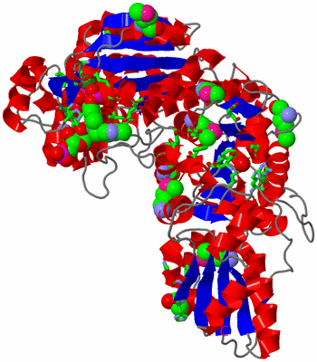 Image Asym. Unit - sites