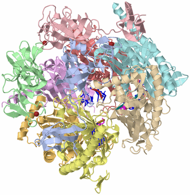 Image Asym./Biol. Unit